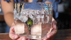 Как се изкарват милиони долари годишно от&hellip; лед