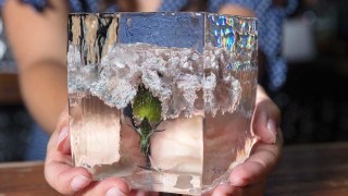 Изображение 752770