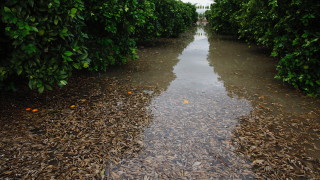 Полицията и спасителните служби откриха телата на двама мъже изчезнали
