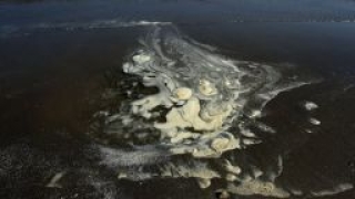 Бактерии ще чистят Мексиканския залив