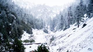 Когато чуем Лос Анджелис винаги си представяме безкрайни плажове бляскав
