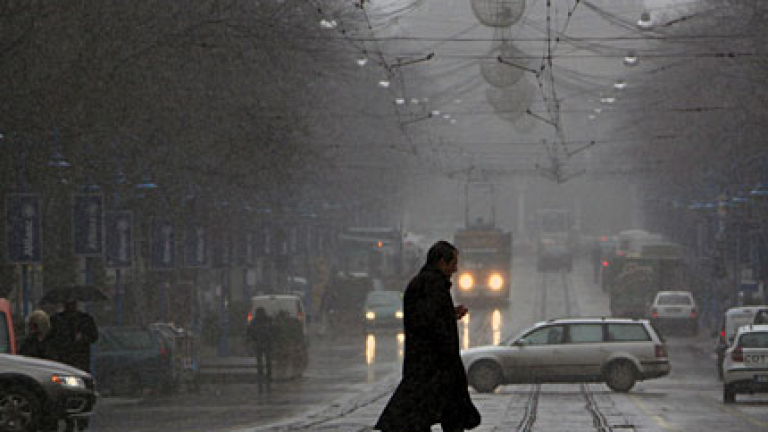 Изображение 73970