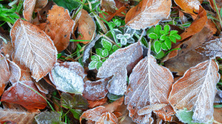 Студените дни на януари за идеалният момент за да планираме