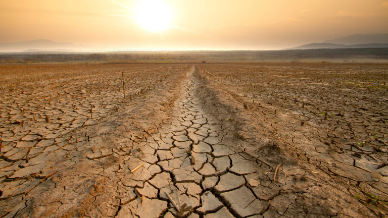Опустошителната суша в Зимбабве е довела до масово унищожение на