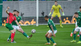 Шести футболист на Северна Ирландия отпадна за световната квалификация с България