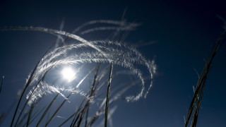 24 май започва със слънце