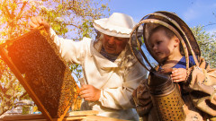 Предоставиха за пчеларите общо над 7,5 млн. лв., част от парите - за кредити