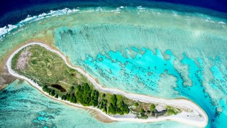 Австралия е на другия край на света но това не