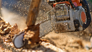 Повдигнаха обвинение на мъж насочил резачка срещу полицай и други