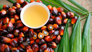 Един от най-големите производители на палмово масло в света ограничава износа му