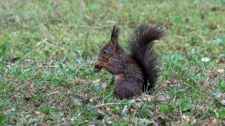 Днес ще бъде предимно слънчево В сутрешните часове на отделни
