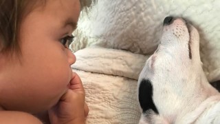 Катето Евро най накрая успя да излекува разбитото си сърце след