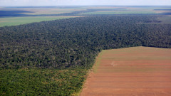 Лула да Силва е амбициран да спре обезлесяването в Амазонка до 2030 г.
