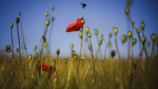 Слънце пробива облаците