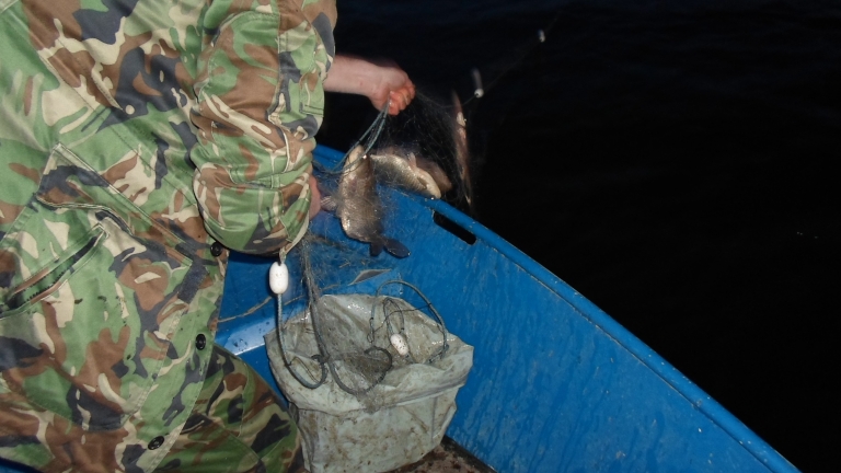 Пияни бракониери опънаха мрежа в езерото в центъра на Монтана