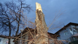 Силен вятър е съборил днес дърво върху къща в Хасково