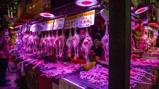 Няма нови случаи на заразени с коронавирус в Китай след