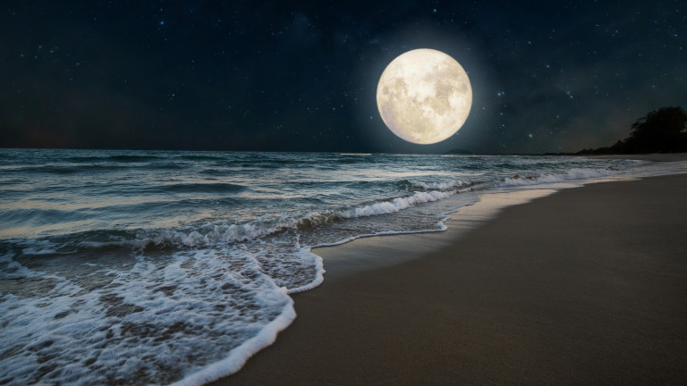 Изображение 539170