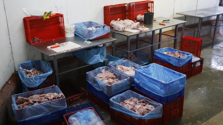 Изображение 739370