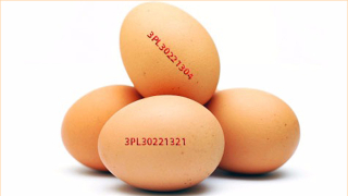 Германската търговска верига Алди обяви че ще изтегли всички яйца от