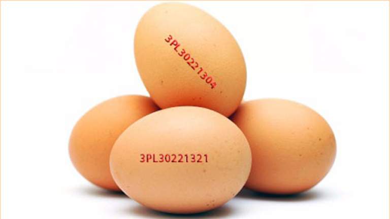 Германската търговска верига Алди обяви, че ще изтегли всички яйца