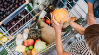 По данни на организацията добива на житни култури през сезона