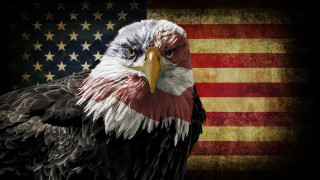 Министърът на финансите на САЩ Джанет Йелън заяви че Америка