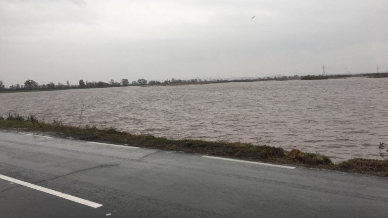 Изображение 319770