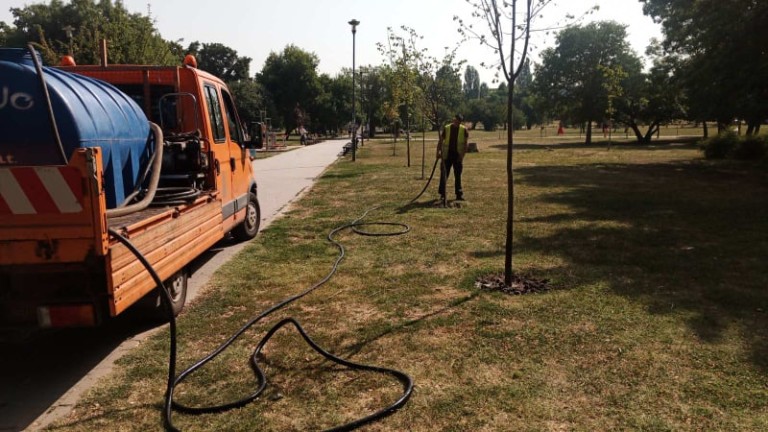 Подпомагат поливането на градските дървета в София