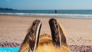 163 хиляди последователя в Instagram никак не е зле