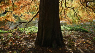 Топло в събота