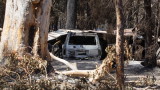 Безпрецедентна катастрофа в Австралия – най-опасните горски пожари в историята