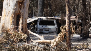 Безпрецедентна катастрофа в Австралия – най-опасните горски пожари в историята