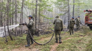 Руските власти обявиха че над 250 горски пожара горят днес