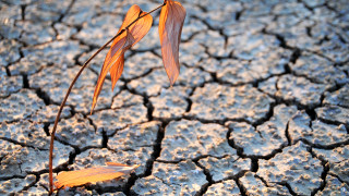 Отчетено е нарастване на броя на гладуващите хора по света