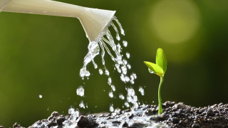 С приближаването на лятото пред всеки един човек който се