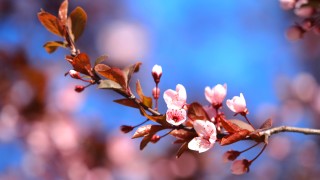 Днес ще бъде предимно слънчево над западните райони с разкъсана