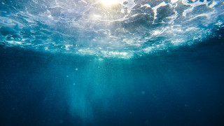 Едва ли някога природата ще спре да ни изумява с