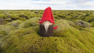 С дълги уши дружелюбни и не по високи от метър Така