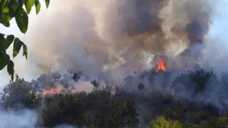 Пожар на територията на Държавно ловно стопанство Тракия край Кричим