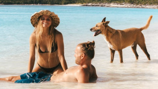 Докато повечето домашни кучета прекарват часове наблюдавайки през прозорците на