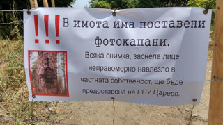 НПО атакува фотокапаните на плаж "Корал"