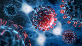 Учени твърдят че нов щам на коронавируса който има изключително