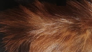 Митничарите на летище София задържаха над 5500 парчета кожи с