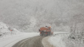 Закъсал ТИР след село Стефан Караджа е блокирал движението в