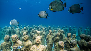 Подводен музей спасява Големия бариерен риф