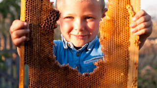 Странджанският манов мед вече официално е със защитено наименование за