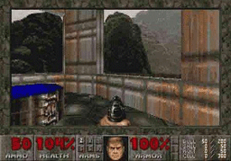 ЧРД: Doom стана на 14 години