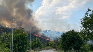 Пожар е пламнал вчера следобед в района на харманлийското село