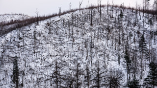 Ураганните ветрове в област Смолян повалиха 46 хил куб метра дървесина